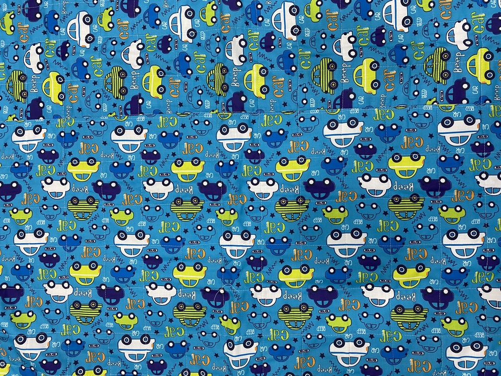 Cotton Car Adventure Printed Quilt